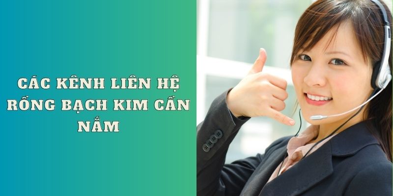 Các kênh liên hệ Rồng Bạch Kim cần nắm