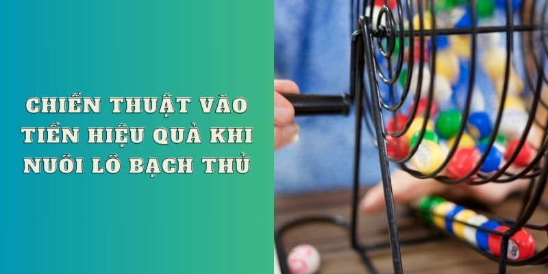 Chiến thuật vào tiền hiệu quả khi nuôi lô bạch thủ