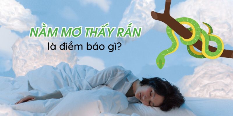 Giải mã hai mặt tốt xấu khi nằm mơ thấy rắn