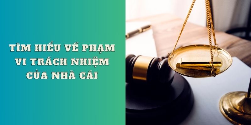 Tìm hiểu về phạm vi trách nhiệm của Rồng Bạch Kim