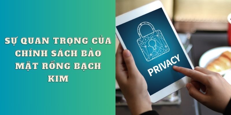 Sự quan trọng của chính sách bảo mật Rồng Bạch Kim