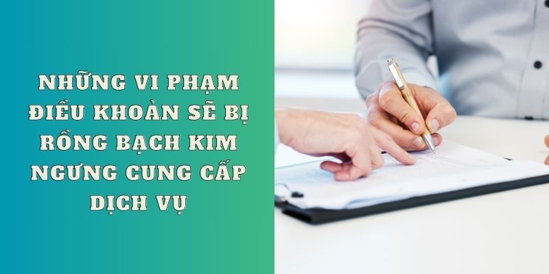 Vi phạm Điều khoản Rồng Bạch Kim sẽ bị ngưng cung cấp dịch vụ